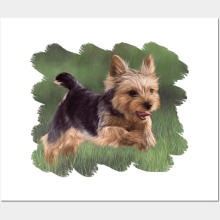 Yorkshire Terrier Painting Posters and Art